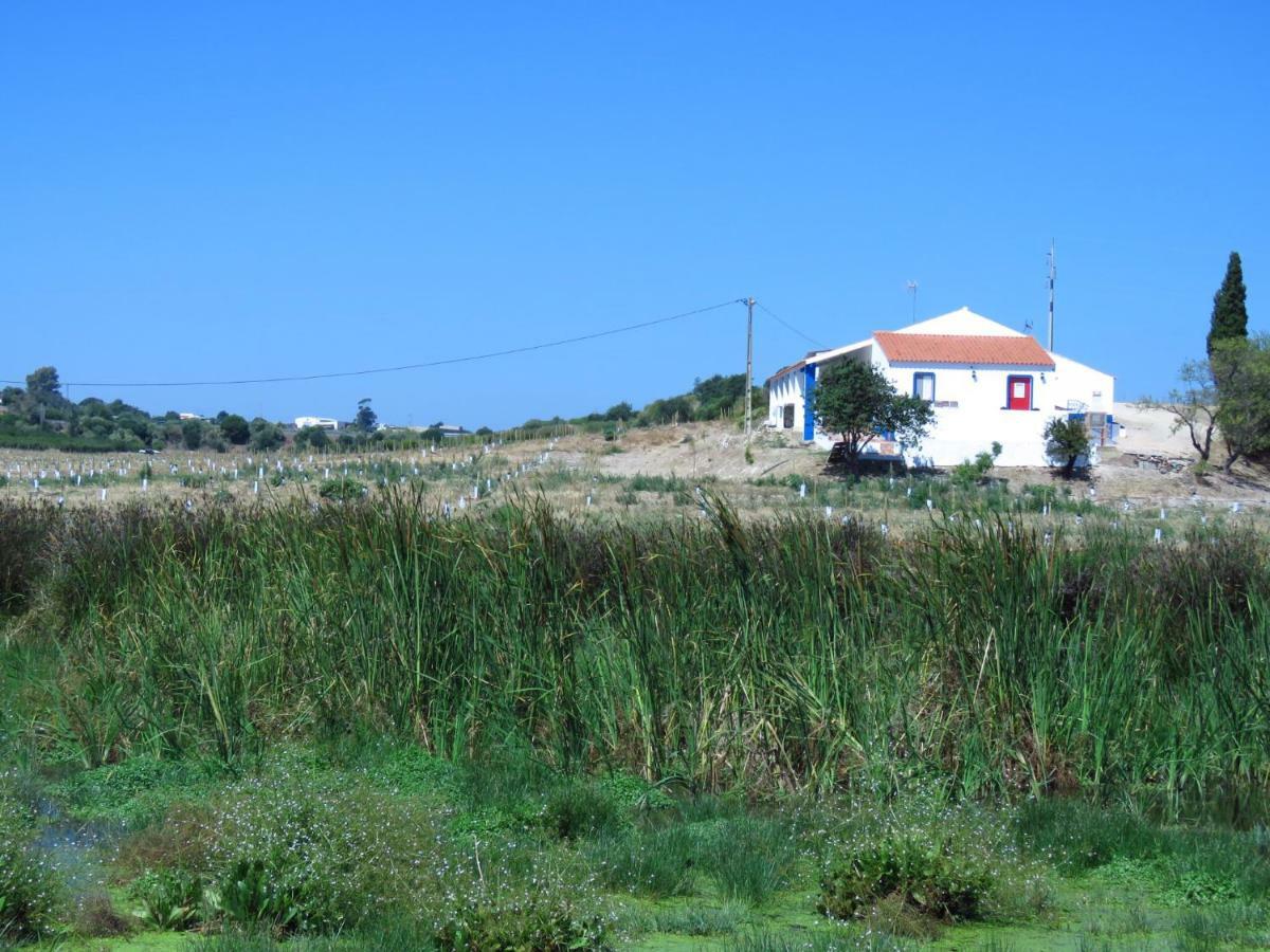 Vale Do Boto-Quinta Com 3 Casas Villa Castro Marim Exterior foto